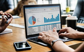 江蘇項目投資風險評估 專業、公正、口碑卓越的啟佳信息咨詢服務